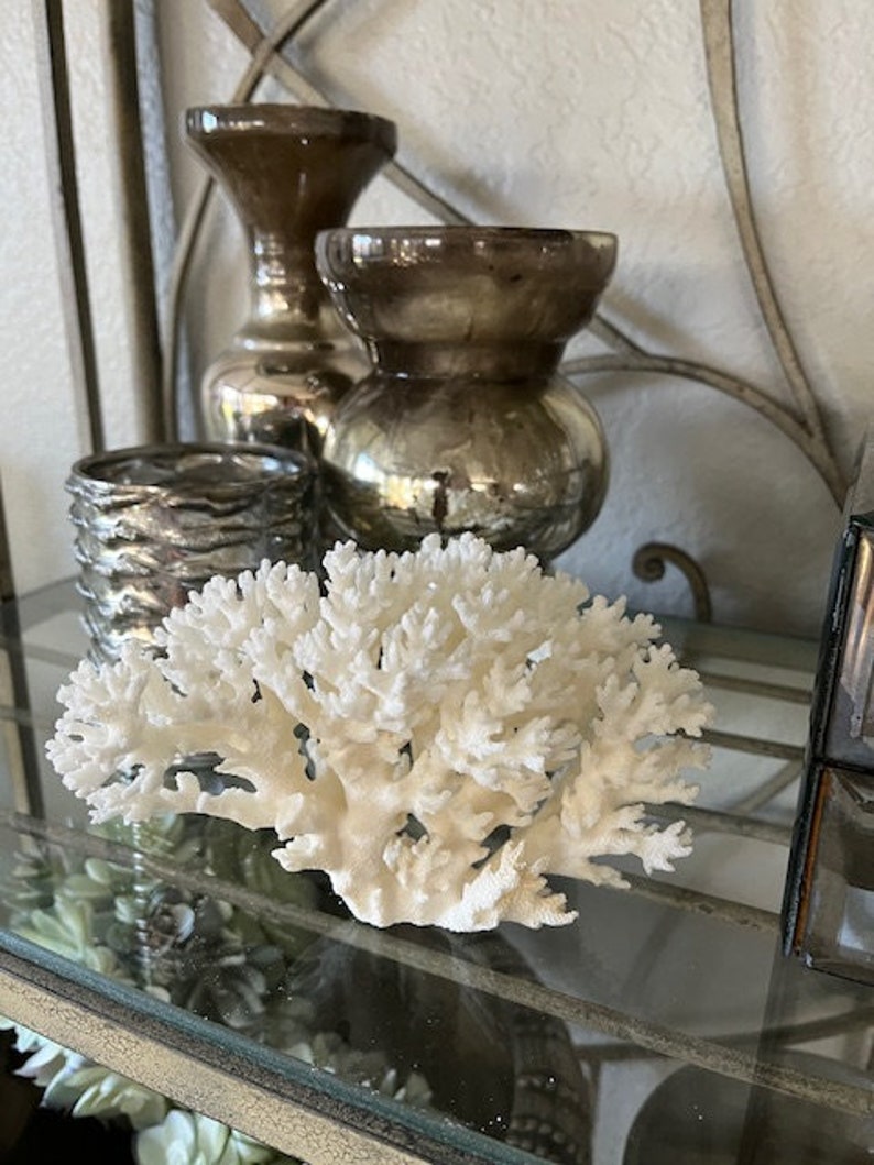 Puede incluir: Rama de coral blanco en un estante de vidrio con dos jarrones de plata antiguos y un candelero de plata.