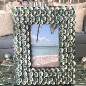 Beach Decor - Blue/green Limpet Shell Frame - Seashell Frame - Coastal ...