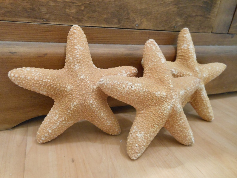 Op de afbeelding: Drie bruinbeige zeesterren met een getextureerd oppervlak en witte spikkels liggen op een licht houten oppervlak. De zeesterren zijn decoratieve items, geschikt voor een kust- of nautisch thema.