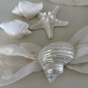 May include: A collection of white seashells and a starfish. The seashells include two conch shells and a large, pearlescent spiral shell. A white starfish is also present. The items are arranged on a light-colored surface with a sheer, cream-colored ribbon.