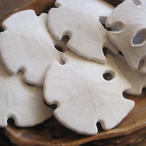Beach Decor Keyhole Sand Dollar (1) - Sand Dollar - Coastal Home Decor - Seashells - Seashell Supply - Beach Wedding