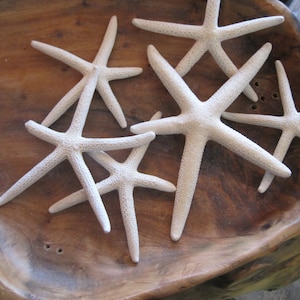 White Starfish Crafter&#39;s &quot;Seconds&quot; Collection (12 pcs) - Imperfect Starfish - Shell Crafts - Seashell Supply -Coastal Decor - Craft Starfish