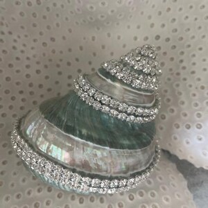May include: A natural spiral seashell featuring an iridescent, pearlescent surface with shades of green and silver. The shell is decorated with multiple rows of clear, sparkling rhinestones wrapped around its exterior ridges and base.