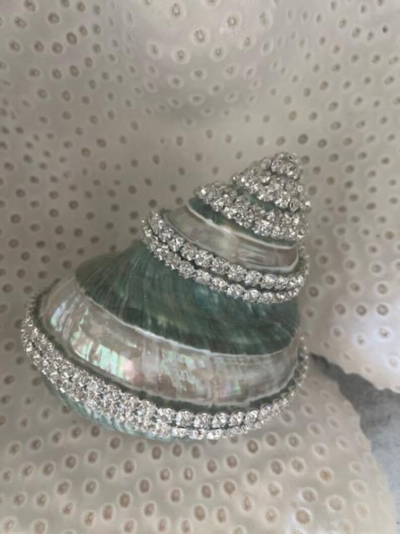 May include: A natural spiral seashell featuring an iridescent, pearlescent surface with shades of green and silver. The shell is decorated with multiple rows of clear, sparkling rhinestones wrapped around its exterior ridges and base.