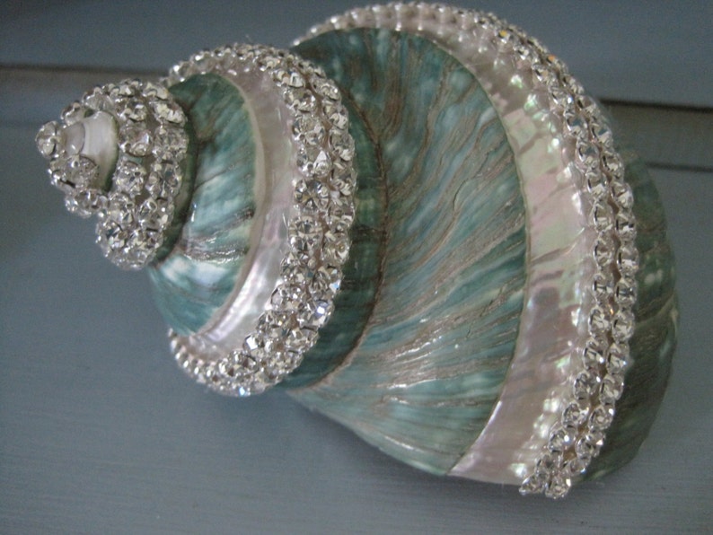 May include: A large sea shell featuring a natural teal and white iridescent finish, decorated with multiple rows of clear, sparkling rhinestones that follow the spiral ridges of the shell's exterior surface from the apex to the wide opening.