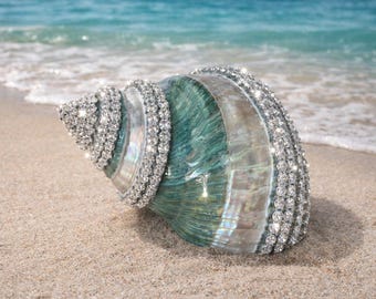 Embellished Polished Green Banded Snail Shell with Swarovski Crystals - Coastal Home Decor - Seashells - Beach Wedding - Seashell Supply
