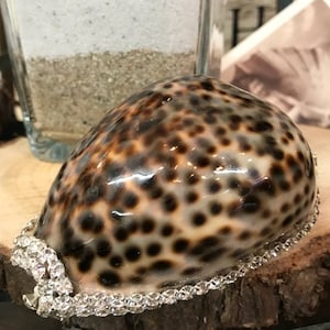 May include: A large, brown and white seashell with a spotted pattern. The shell is decorated with a silver and crystal trim.