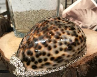 Embellished Spotted Tiger Cowrie with Swarovski Crystals - Coastal Home Decor - Seashells - Beach Wedding - Shell Supply - Bling Shell