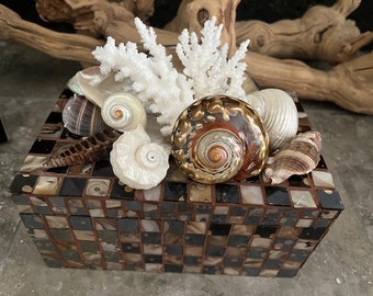 Beach Decor Brown Mosaic Seashell Jewelry Box - Shell Box - Coastal Home Decor - Gift - Beach Decor - Decorative Box - Seashells - Coral