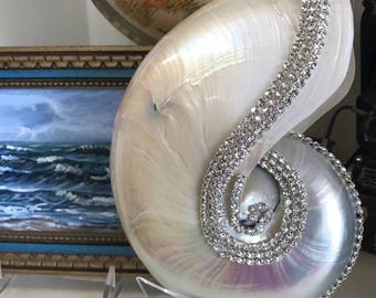 Embellished Polished Nautilus Shell with Swarovski Crystals - Polished Nautilus - Coastal Home Decor - Seashells - Beach Wedding