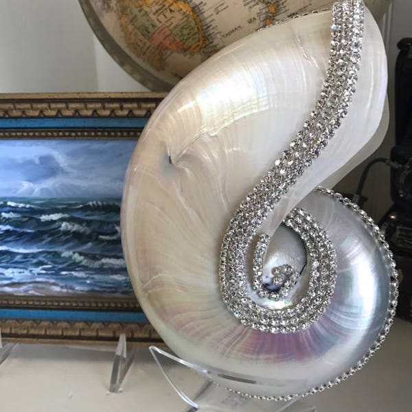 Embellished Polished Nautilus Shell with Swarovski Crystals - Polished Nautilus - Coastal Home Decor - Seashells - Beach Wedding