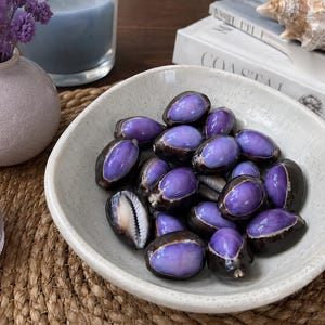 Puede incluir: Una colección de pequeñas conchas de cauri ovaladas con centros de color púrpura intenso y bordes de color marrón oscuro, dispuestas dentro de un cuenco de cerámica de color blanco roto poco profundo con una textura moteada y brillante.