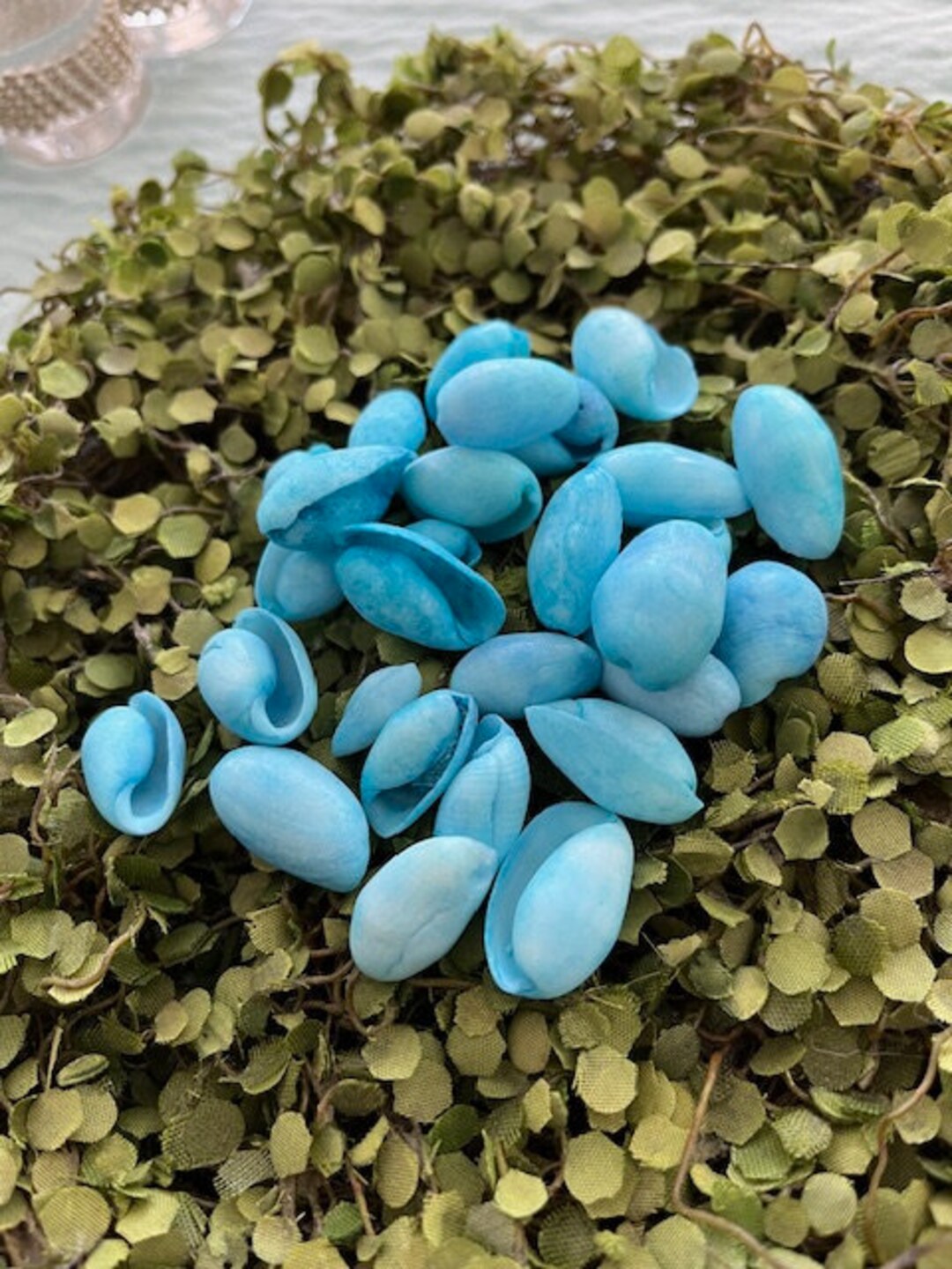 Beach Decor Dyed Turquoise Bubble Shells (15 Pcs) - Blue Bubble Shells ...
