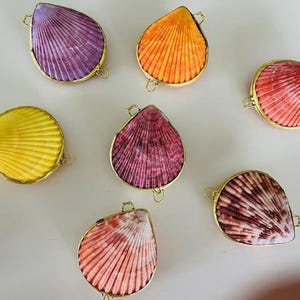 Puede incluir: Seis cajas de conchas marinas con detalles en metal dorado. Las conchas son de varios colores, incluyendo morado, naranja, rosa, amarillo y marrón.