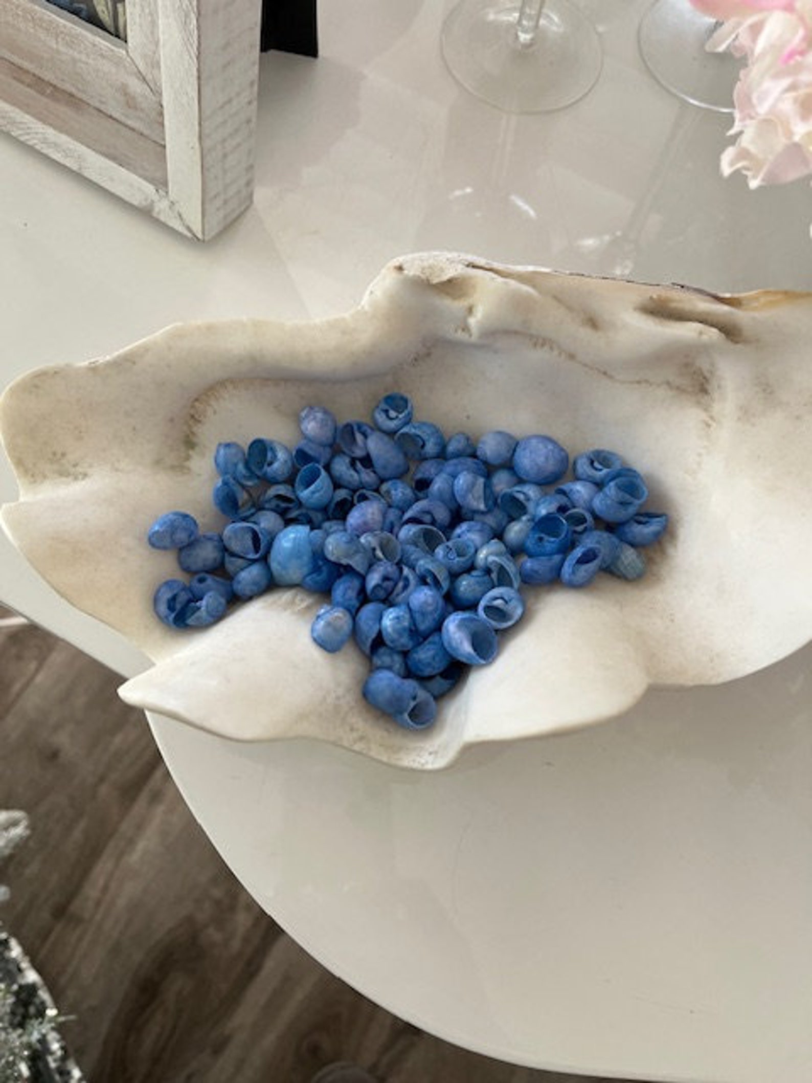 Dark Blue Dyed Bubble Shells (25 Pcs) - Craft Shells - Coastal Home ...