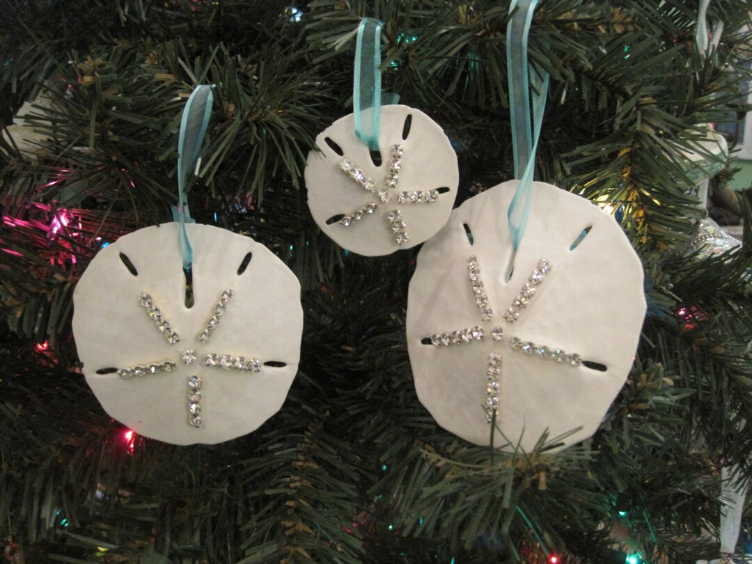 SAND DOLLAR WOODEN ORNAMENT  Outer Banks Gifts – OUTER BANKS GIFTS