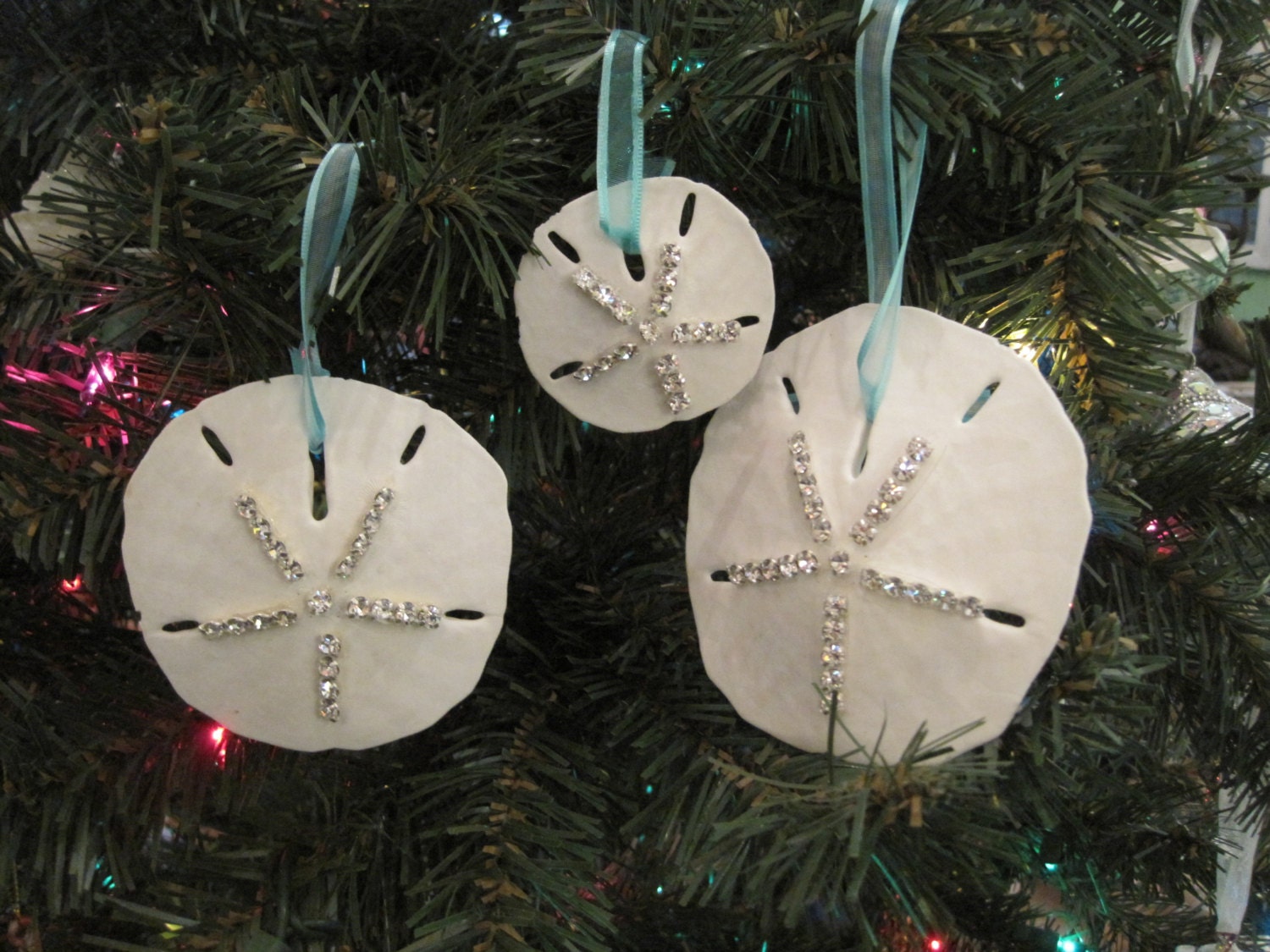 Painted sand dollar christmas ornaments Clearance