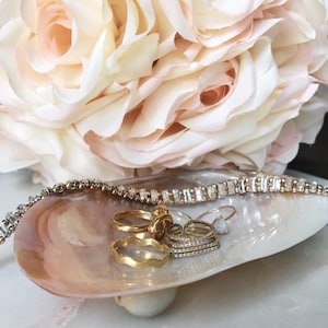 Handmade Mother of Pearl Clam Jewelry Dish - Shell Soap Dish - Shell Dish - Seashell Dish -Coastal Home Decor Guest Rm -Beach Bathroom Decor