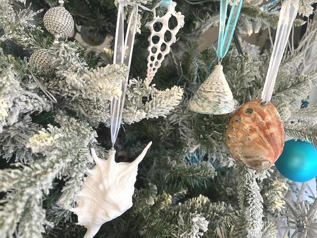 貝殻　ヒトデ　オーナメント　ナチュラル　クリスマス　クリスマスツリー　飾り　海 Amazon.co.jp: 36個 木製 ヒトデ 貝殻 オーナメント 装飾 ビーチ 海