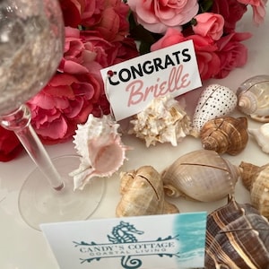 Seashell Place Card Holders 10/20/50/100 Beach Weddings Bridal Showers Parties Baby Showers Engagement Dinner Party Cards image 2