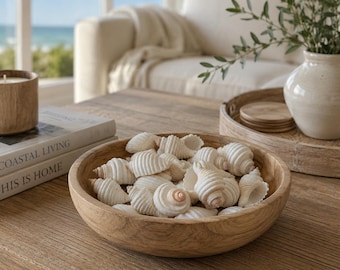 White Spiral Groovy Shell (6 pcs) - White Seashells - Beach Wedding - Craft Shells -Coastal Home Decor - Frames Mirrors Vase Fillers Wreaths