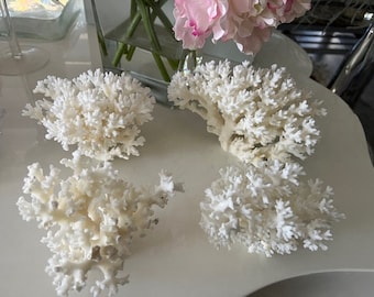 Real Lace Coral - Genuine Coral - CHOOSE YOUR SIZE - Large Lace Pieces- Coastal Home Decor -Natural White Coral -Beach Wedding -Centerpieces
