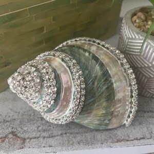 May include: A large, spiraled seashell featuring iridescent green and white tones, decorated with multiple rows of clear, sparkling rhinestones along its ridges and edges, creating a textured, reflective surface on the shell's natural curves.