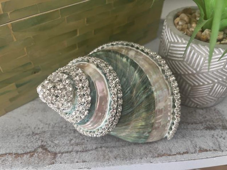 May include: A large, spiraled seashell featuring iridescent green and white tones, decorated with multiple rows of clear, sparkling rhinestones along its ridges and edges, creating a textured, reflective surface on the shell's natural curves.