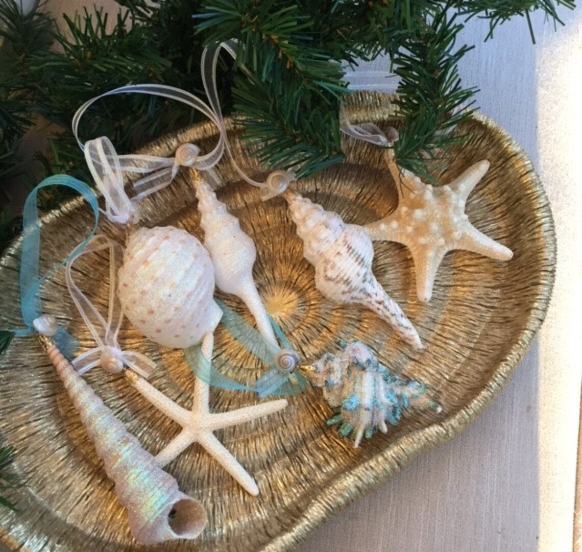 Beach Decor Christmas Seashell Ornament Set 7PC Seashell & | Etsy