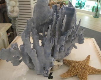 Beach Decor Blue Coral - Natural Blue Ridge Coral - Natural Coral - Coastal Home Decor - Reef Coral - Shells - Specimen Coral -Beach Wedding