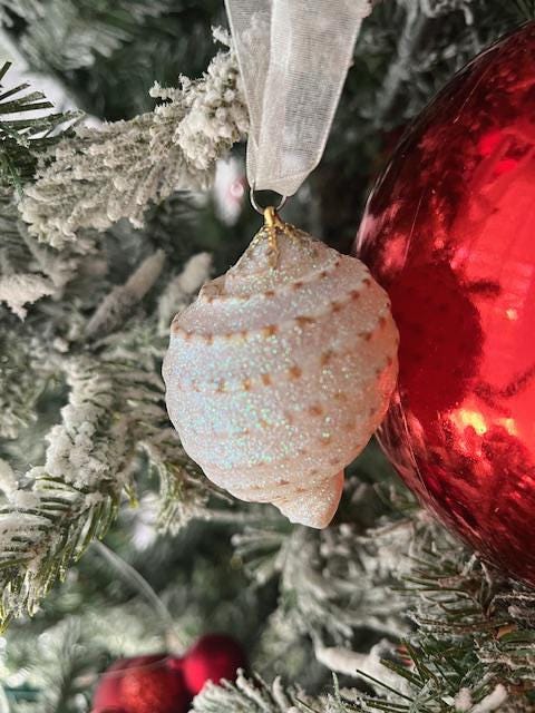 ビーチデコレーション クリスマス 貝殻 2 個オーナメントセット - 本物