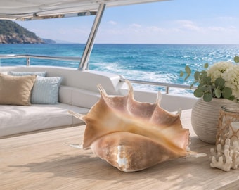 Truncata Conch Shell - Large Conch Seashell - Coastal Home Decor - Seashells - Beach Decor - Centerpiece - Wedding Decor - Nautical Tabletop