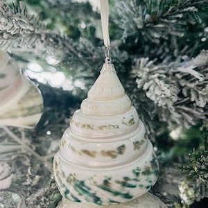 Puede incluir: Un adorno de concha de mar blanco y verde con una cinta blanca colgando de un árbol de Navidad.