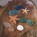 see more listings in the Seashells/Starfish section