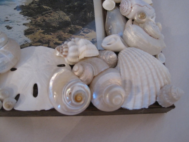 Beach Decor White Seashell Picture Frame Shell Frame White Shell Picture Frame Shell Wood Frame Beach Wedding Gift image 4