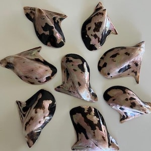 May include: An overhead shot displays eight iridescent, shell-shaped objects. The shells have a mix of black, brown, and pink hues. The objects are arranged on a white surface, showcasing their unique shapes and colors.