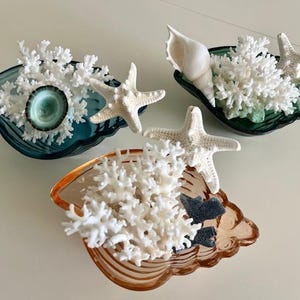 Beach Glass Conch Shell Bowl Centerpieces with Natural Seashells & Real Coral - Coastal Home Decor  - Beach Wedding - Gift Basket - Showers
