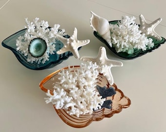 巨大な13.4インチの大型海洋ヘルポリタマッシュルームサンゴ、舌状