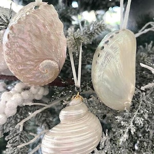 May include: Three white iridescent seashell ornaments hanging on a white flocked Christmas tree. The shells are different shapes and sizes, and they have a pearly sheen.