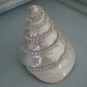 May include: A white seashell with a spiral shape, decorated with rows of silver rhinestones.