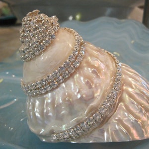 Beach Decor Embellished Pearlized Wavy Top Turbo Shell with Swarovski Crystals - Turbo Shell - Coastal Home Decor - Seashells -Beach Wedding