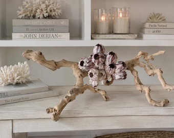 Natural Barnacle and Grapewood Branch Decor - Coastal Home Decor  - Beach Wedding Decor- Luxury Coastal Decor - Centerpiece Statement -Coral