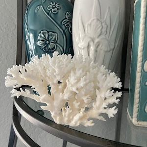 Puede incluir: Coral blanco en un estante de vidrio con dos jarrones de cer&aacute;mica, uno azul verdoso con dise&ntilde;os florales y el otro blanco con un dise&ntilde;o de iris.