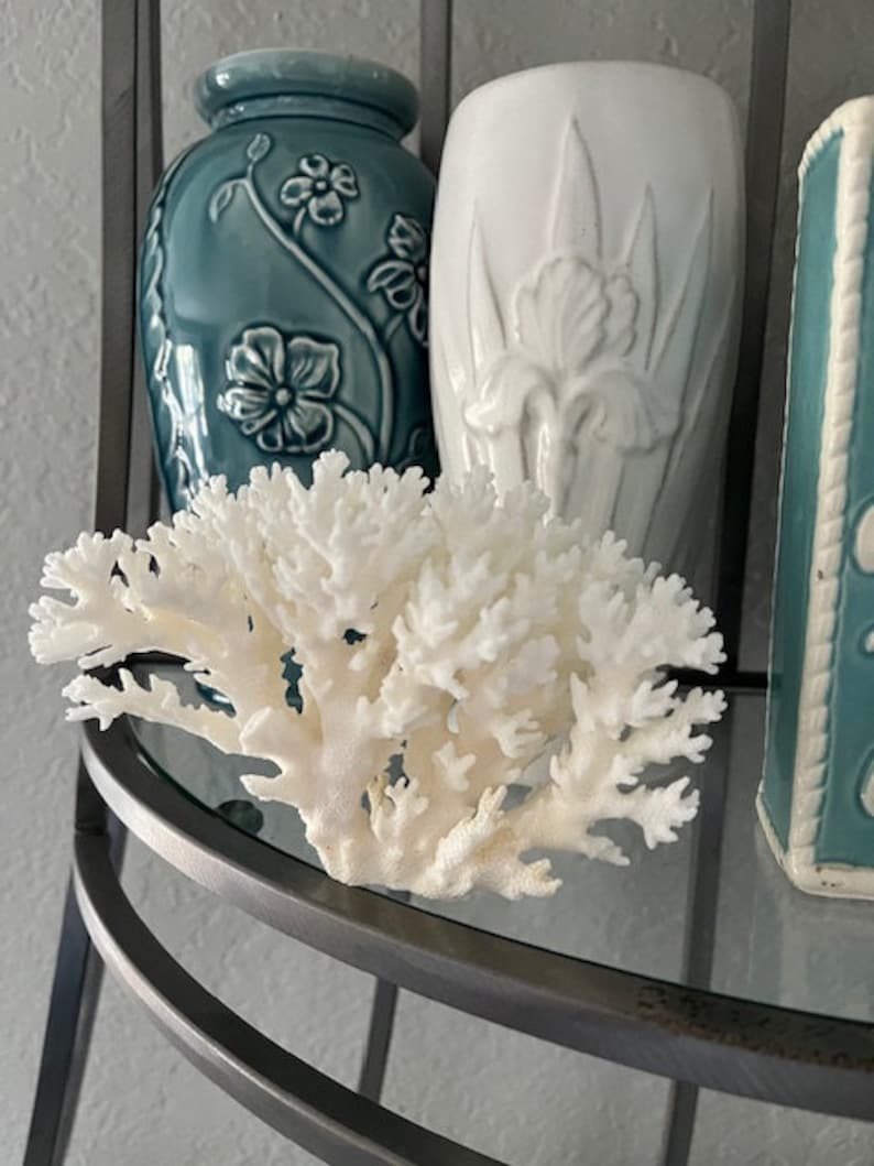 Puede incluir: Coral blanco en un estante de vidrio con dos jarrones de cer&aacute;mica, uno azul verdoso con dise&ntilde;os florales y el otro blanco con un dise&ntilde;o de iris.