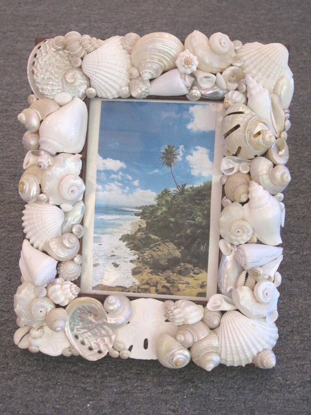 White Shell Photo Frame Beach Decor White Seashell Picture Frame - Shell Frame - White Shell ...
