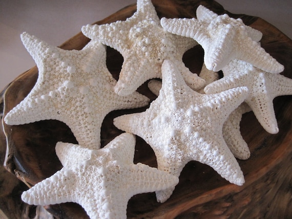 20 Stelle Marine In Resina Per Decorazione - 6cm Ciascuna Per Tema Spiaggia E Mare - Foto 2