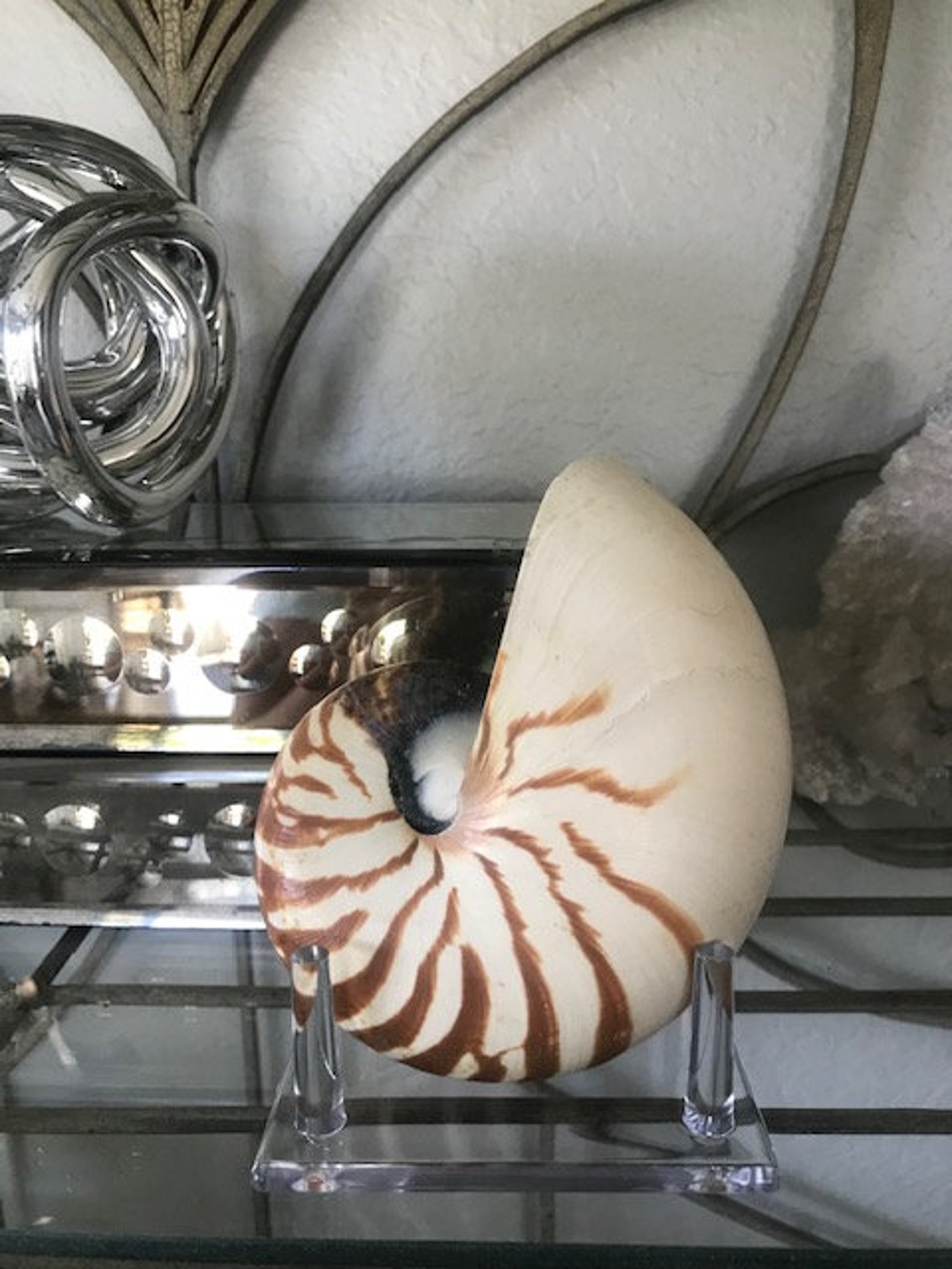 Beach Decor Seashell Stand Large and Small Display Stands - Etsy