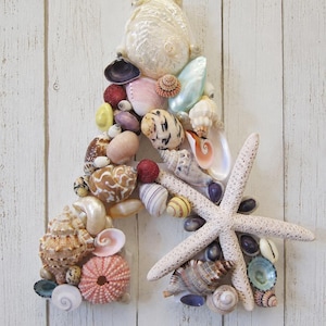 May include: A decorative letter A covered in a variety of seashells, including a large white starfish, pink sea urchin, brown spiral shells, and iridescent bivalves. The arrangement features diverse textures, shapes, and colours like tan, white, pink, and purple.