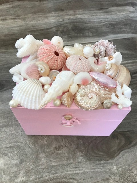 Beach Decor Seashell Jewelry Box Jewelry Box Shell Jewelry Box Trinket Box  pink Box Seashell Box Wooden Box Gift Beach -  Canada