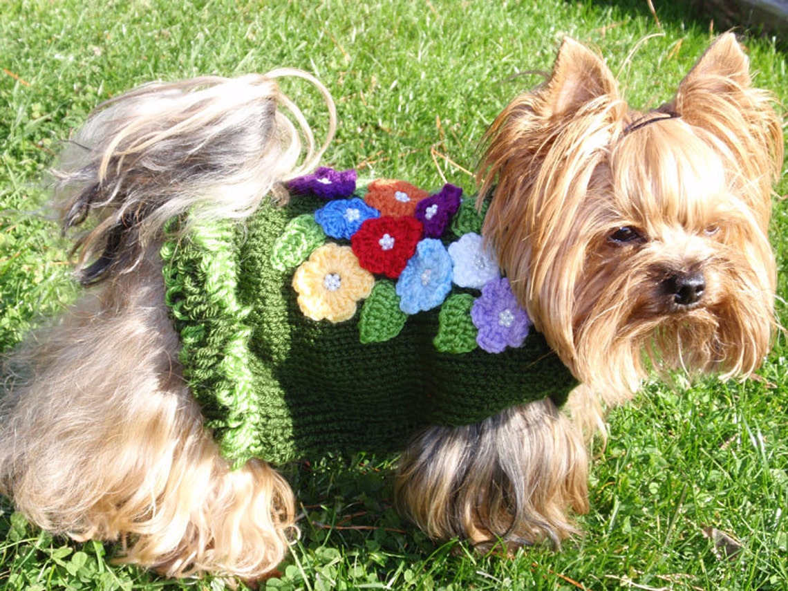 Hand Knit Green Dog Sweater with Crochet Flowers Etsy